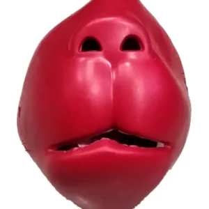 Hanuman Ji Face/Mouth Mask