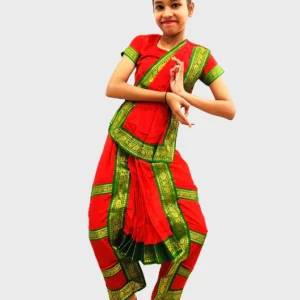 Bharatanatyam Saree Indian Classical Dance Costume for Girls | Kids & Adult Fancy Dress costume