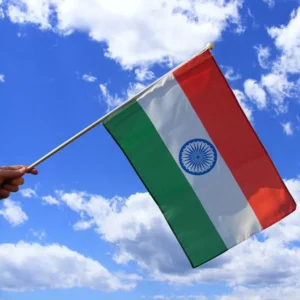 Indian Hand Flag