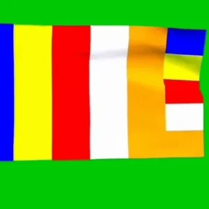PanchSheel flag