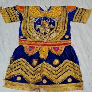 Raja Dress / Raj Shahi Dress ( High Quality Shaneel and Form Moti Work )