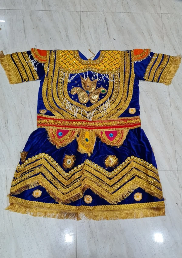 Raja Dress / Raj Shahi Dress ( High Quality Shaneel and Form Moti Work )