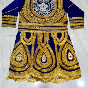 Raja Dress ( Full Size, Shaneel Dress)