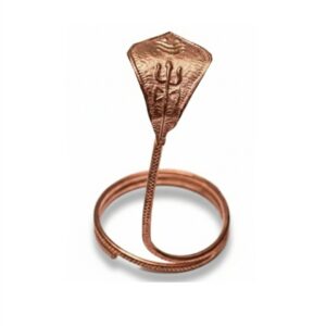 Copper Snake [ Naag / Nagin ]