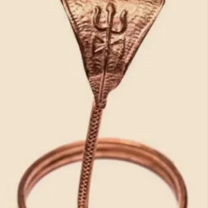 Copper Snake [ Naag / Nagin ]