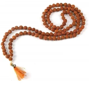 Rudraksh Mala For jap / Wearing