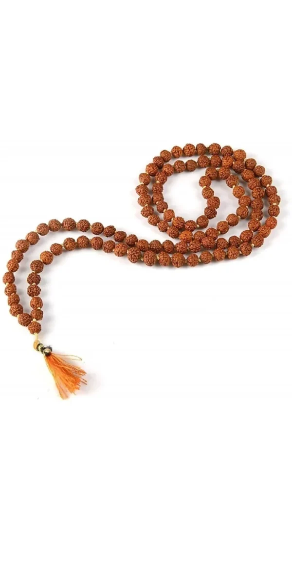 Rudraksh Mala For jap / Wearing
