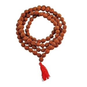 Rudraksha Mala for Wearing and Japa Mala Kanthi mala with 108 beads