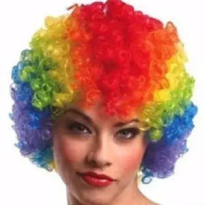 Joker Hair / Wig