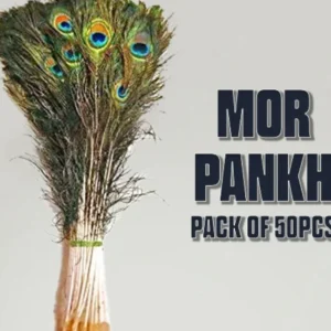 Mor Pankh / Peacock Feather 50 Pc