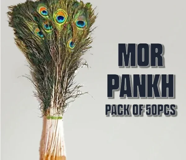 Mor Pankh / Peacock Feather 50 Pc
