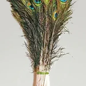 Mor pankh / Peacock Feather 1 Pc